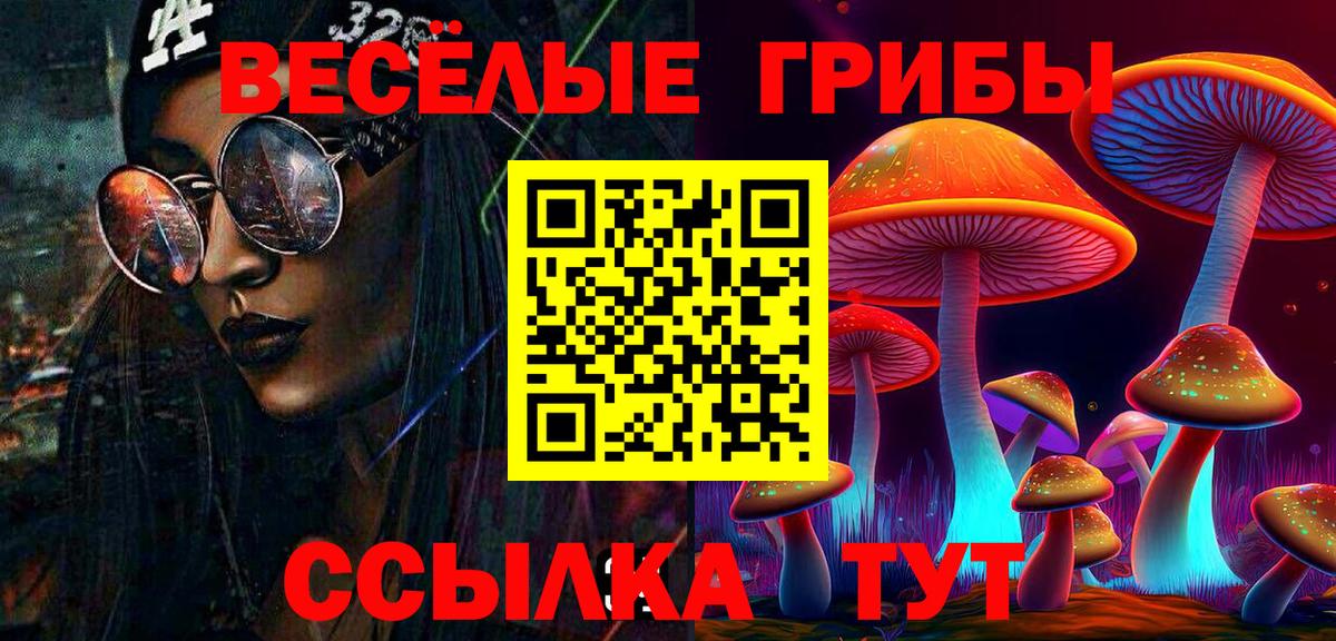 Псилоцибиновые грибы GOLDEN TEACHER Корсаков
